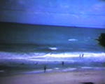 8mm_04 006 Hollywood Beach Neptune seagulls, palm on truck broadwalk